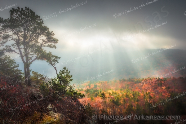 16 Foggy Sunrise From The Summit Of Flatside Pinnacle - Professional Arkansas Ouachita Gallery No 2 photography by Paul Caldwell